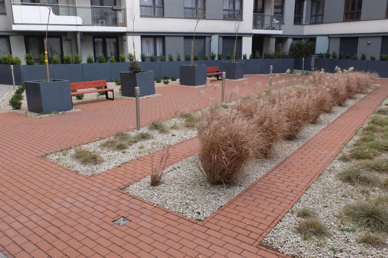 Mone - Fajny Apartament W Centrum Wroclawia Dış mekan fotoğraf